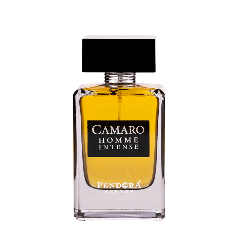 Paris Corner | Pendora Scents | Camaro Homme Intense 100ml for Men & Women