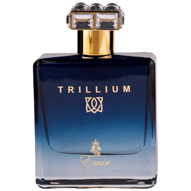 Paris Corner | Emir | Trillium 100ml for Men - Image 5